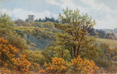 Rusthall Kerk, Tunbridge Wells door Alfred Robert Quinton