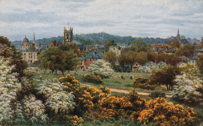 Tunbridge Wells vanaf The Common door Alfred Robert Quinton