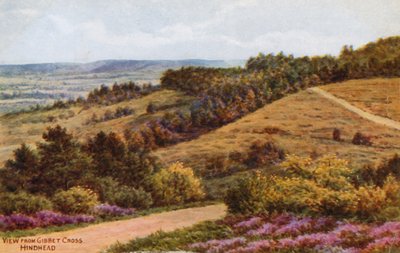 Uitzicht vanaf Gibbet Cross, Hindhead door Alfred Robert Quinton