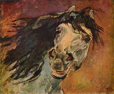 Tete De Cheval Andalou, c1910 door Alfred Roll