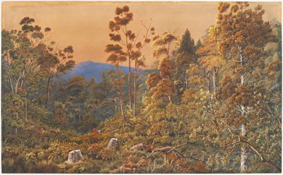 Een gouden avond, Waiheke Island door Alfred Sharpe