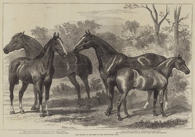 Prijswinnaars op de landbouwtentoonstelling door Alfred Sheldon Williams