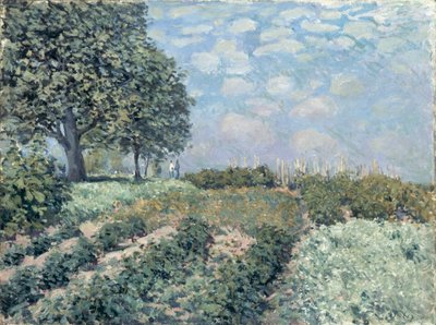 De Moestuinen door Alfred Sisley