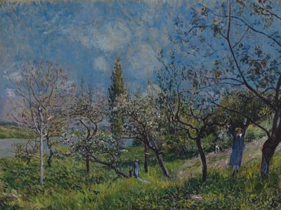 Boomgaard in de lente door Alfred Sisley
