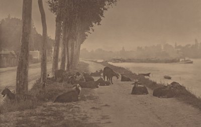  door Alfred Stieglitz