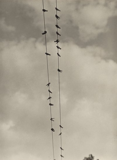  door Alfred Stieglitz