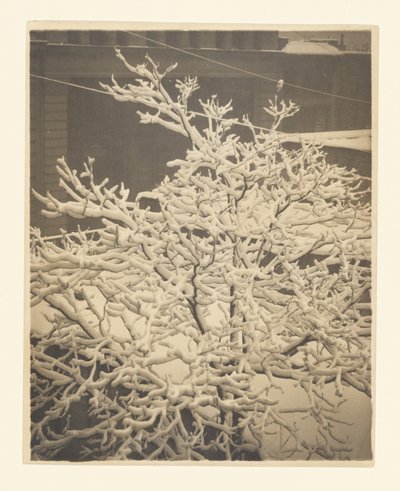  door Alfred Stieglitz