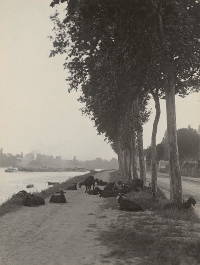  door Alfred Stieglitz