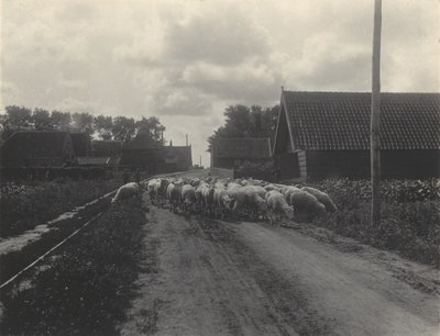  door Alfred Stieglitz