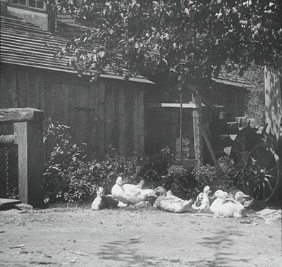 Gutach, 1894 door Alfred Stieglitz