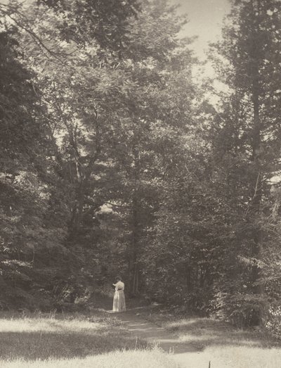  door Alfred Stieglitz
