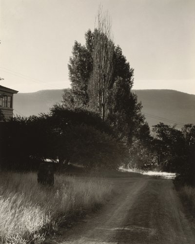  door Alfred Stieglitz