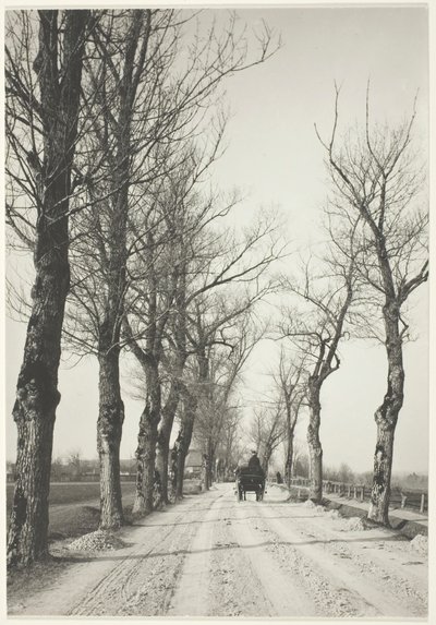 Novemberdagen, 1887, gedrukt 1920-39. door Alfred Stieglitz