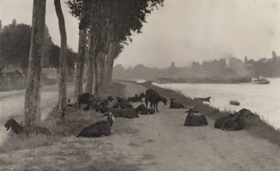  door Alfred Stieglitz