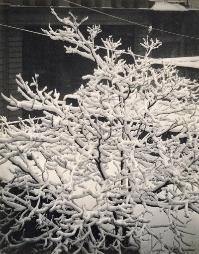 Uit het raam - 291 - N.Y. door Alfred Stieglitz