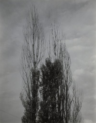  door Alfred Stieglitz