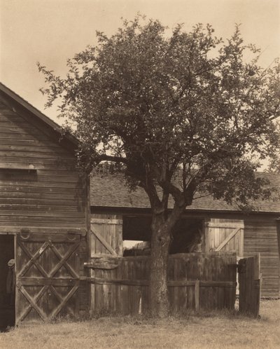  door Alfred Stieglitz
