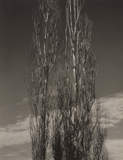  door Alfred Stieglitz