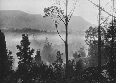 De Ochtendmist die Oprijst in Nuwara Eliya, ca. 1890, 1910 door Alfred William Amandus Plate