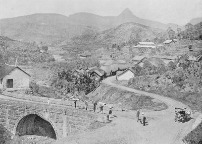 Uitzicht op Maskeliya met Adams Peak, ca. 1890, 1910 door Alfred William Amandus Plate