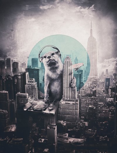 Urban Otter DJ door Ali Gulec