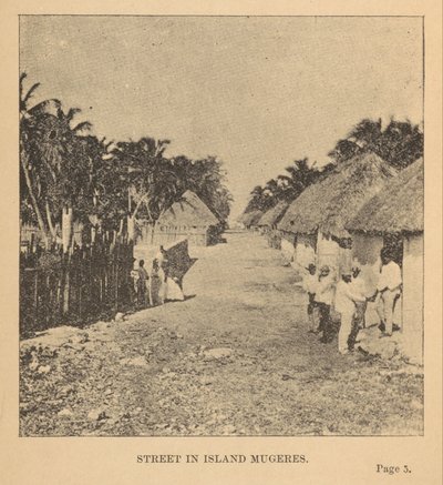 Straat op Isla Mujeres door Alice Dixon Le Plongeon