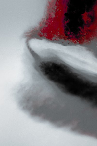 Mission, uit de serie Missionary, 2019 (foto) door Alice Gur-Arie
