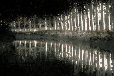 Rendering, 2018 (handgeschilderde foto) door Alice Gur-Arie