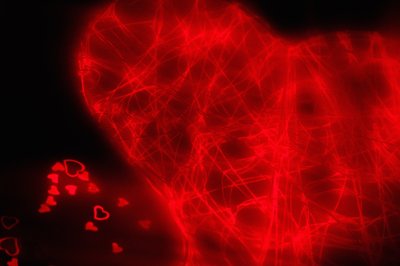 Tangled Heart, uit de serie Hearts, 2016 (foto) door Alice Gur-Arie