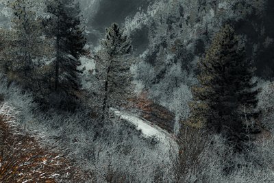 De weg van Milaan, 2018 (handgeschilderde foto) door Alice Gur-Arie