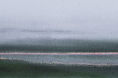 Verdant, uit de serie Conyer Reach, 2020 (handgeschilderde foto) door Alice Gur-Arie