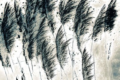 Wind uit het westen, 2016 (handgeschilderde foto) door Alice Gur-Arie