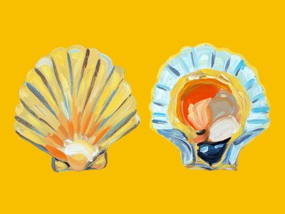 Gouden sint-jakobsschelpen door Alice Straker