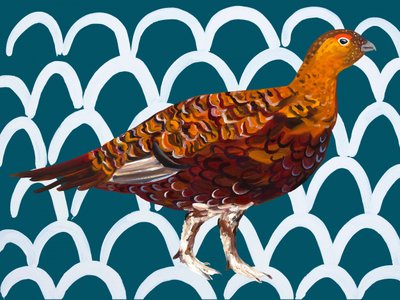 Patroon voor de rode korhoen en de wintertaling door Alice Straker