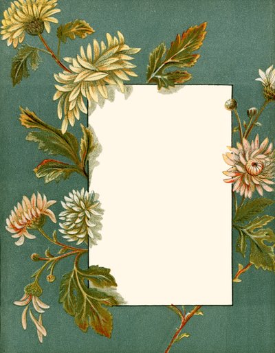 November door Alicia Amy Leith