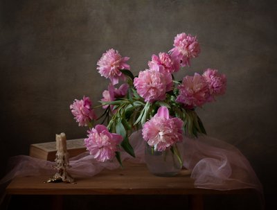  door Alina Lankina
