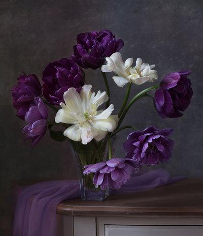  door Alina Lankina