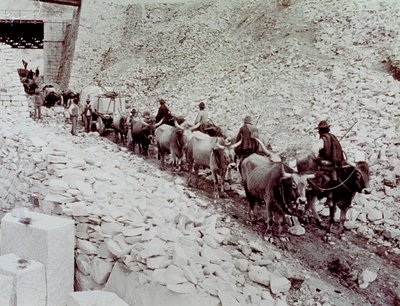 Scène waarin marmerblokken worden vervoerd vanuit een steengroeve in Carrara. De wagen wordt getrokken door tien ossen door Fratelli Alinari