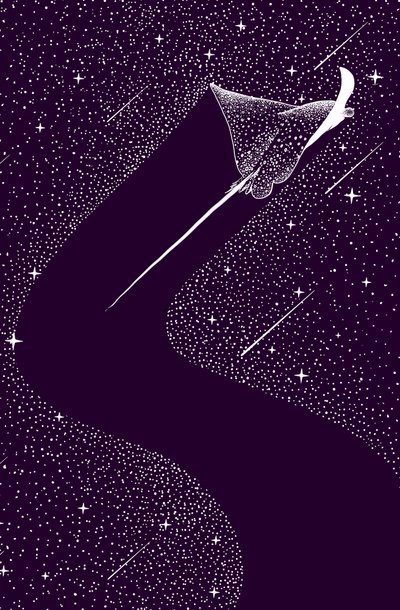 Hemelse adelaarsrog door Alirıza ÇAKIR