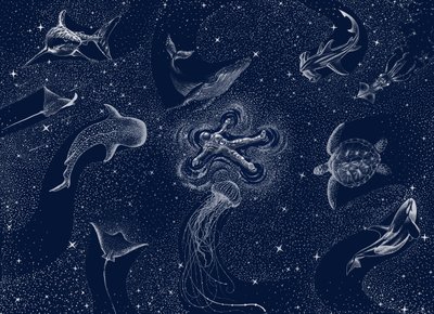 Kosmische Oceaan-droom door Alirıza ÇAKIR