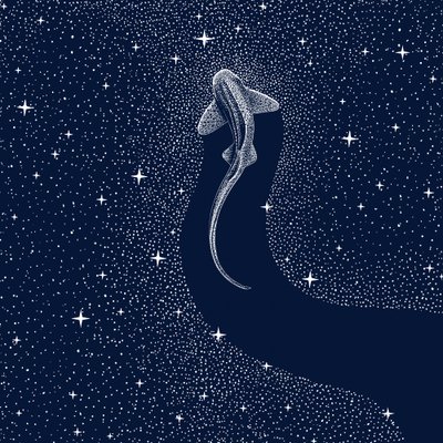 Kosmische haai door Alirıza ÇAKIR