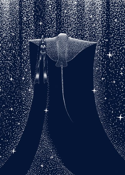 Starlit Ray-gids door Alirıza ÇAKIR