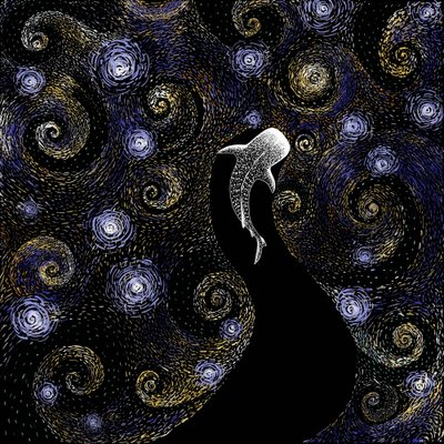 Walvishaai onder de sterrenhemel door Alirıza ÇAKIR