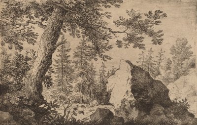Rots in het bos, waarschijnlijk ca. 1645-1656 door Allart van Everdingen