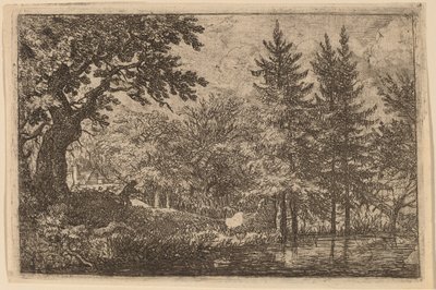 Sparren bij het water door Allart van Everdingen