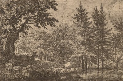 Sparren bij het water, waarschijnlijk ca. 1645-1656 door Allart van Everdingen