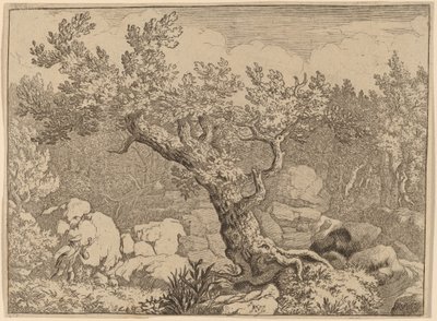 Sportman bij een grote boom, waarschijnlijk ca. 1645-1656 door Allart van Everdingen