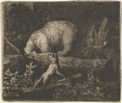 De beer met zijn snuit en voorpoten gevangen in de stam van een boom, midden 17e eeuw door Allart van Everdingen