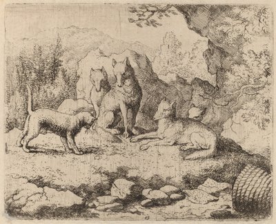 De Kat Gestuurd als Boodschapper, waarschijnlijk ca. 1645-1656 door Allart van Everdingen