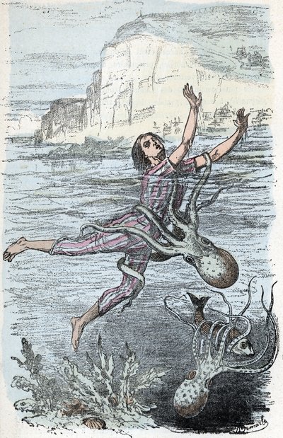 Zoologische plaat; koppotige weekdieren, zwemmer gegrepen door een grote octopus en musquee eledone (Zoologische plaat: zwemmer gegrepen door een octopus) Gravure uit 
